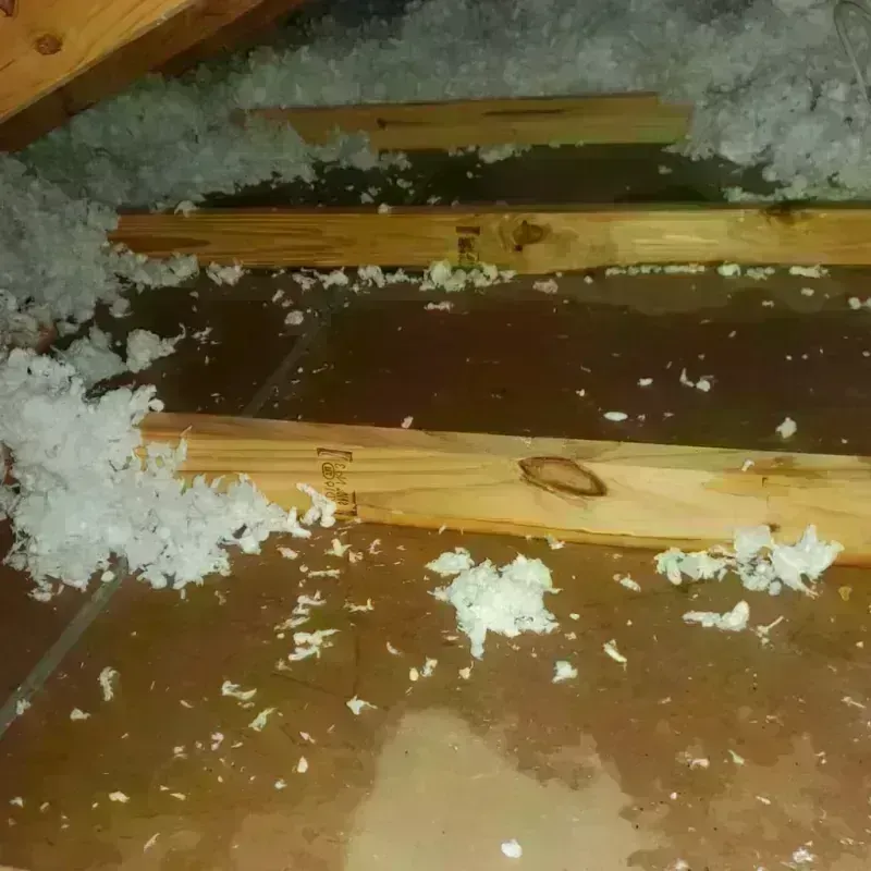 Attic Water Damage in Kandiyohi County, MN